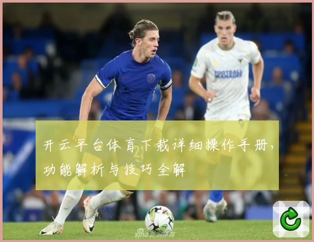 开云平台体育下载详细操作手册，功能解析与技巧全解