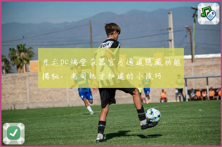 开云pc端登录器官方通道隐藏功能揭秘，老司机才知道的小技巧
