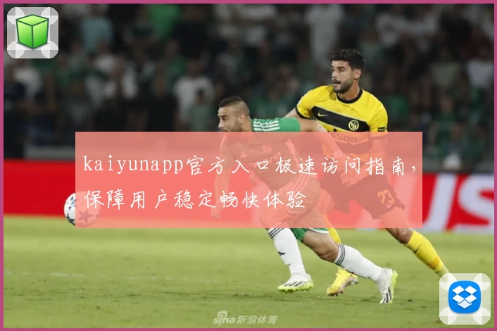 kaiyunapp官方入口极速访问指南，保障用户稳定畅快体验