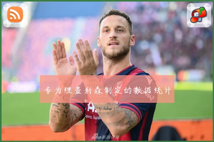 专为理查利森制定的数据统计