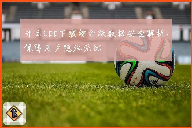开云app下载综合版数据安全解析，保障用户隐私无忧