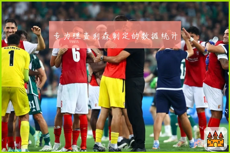 专为理查利森制定的数据统计